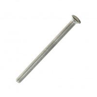 Винт для сифонов М6*70