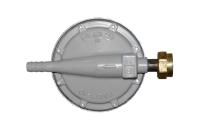 Редуктор газовый (лягушка) РДСГ 1-1,2 (газ)