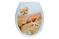 Сиденье для унитаза с рисунком (РАКУШКА-БАБОЧКА) (1/10) 'МУЛЬТИПЛАСТ'